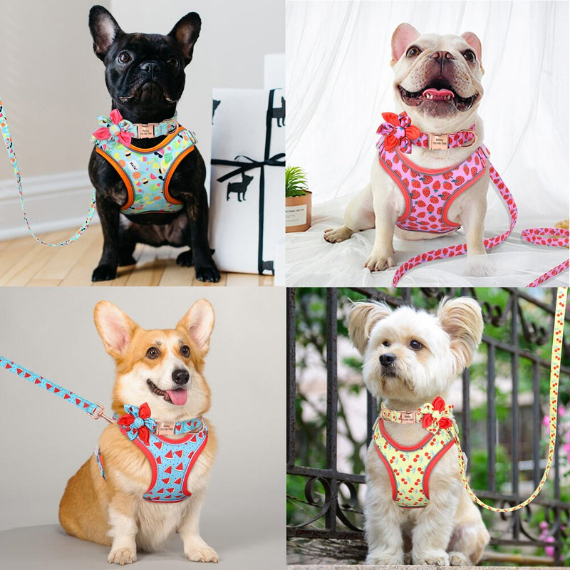 Custom Printed Dog Collar Leash Set Personalized Pet Dog Collar Harnesses Walking Leash For Medium Large Dogs French Bulldog