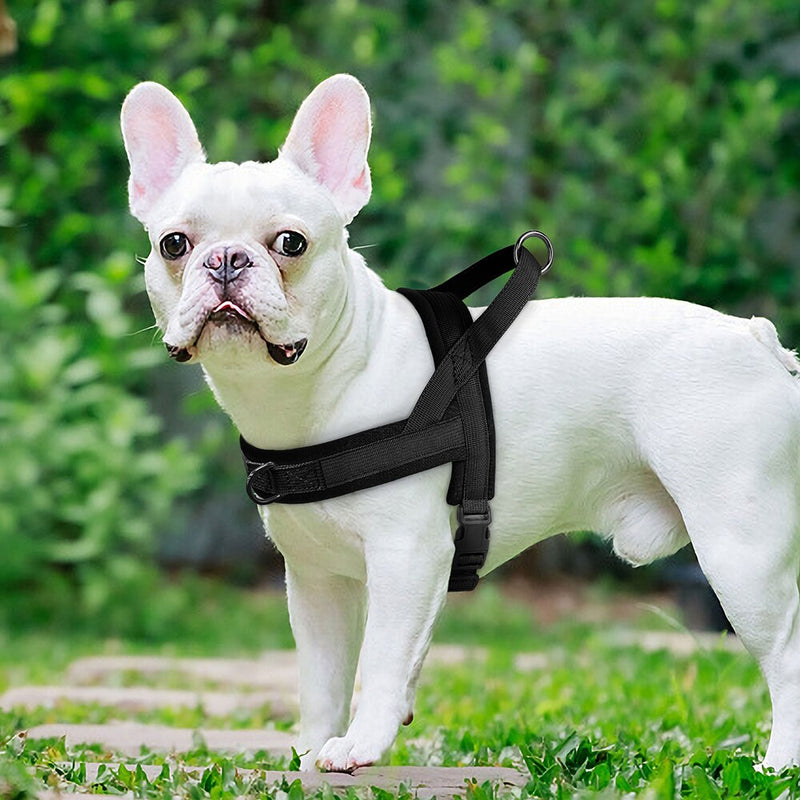 Small Medium Nylon Padded Dog Harness Vest Adjustable Soft Outdoor No Pull French Bulldog Chihuahua Pet Puppy Harness Vest Perro