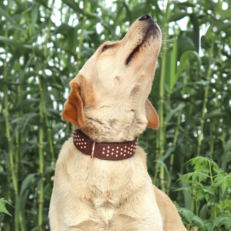 Adjustable PU Leather Dog Collar For Medium Large Dogs Accessories Durable Pet Necklace Collars Pitbull Bulldog Pet Supplies