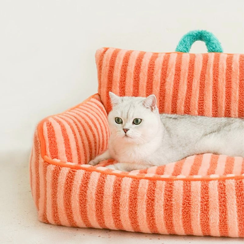 Beds Cats Accessory Dog Mat Pet Bed Houses and Habitats House Cushions Accessories Supplies Basket Puppy Products Things All Cat