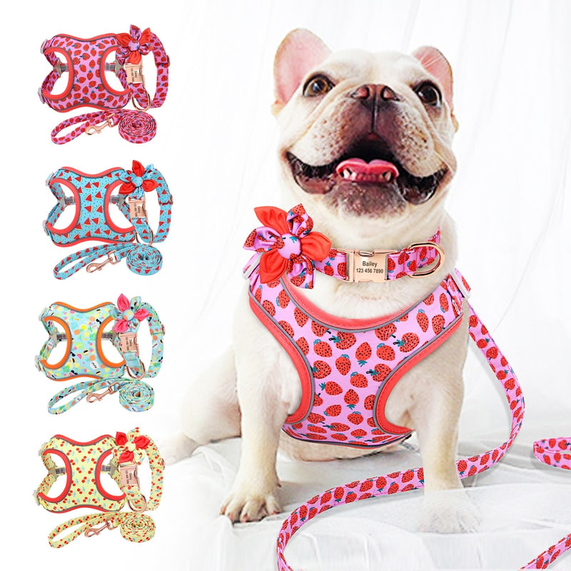 Custom Printed Dog Collar Leash Set Personalized Pet Dog Collar Harnesses Walking Leash For Medium Large Dogs French Bulldog
